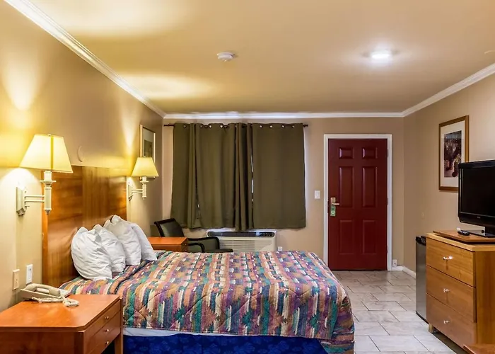 Hotel Wildcat 2*