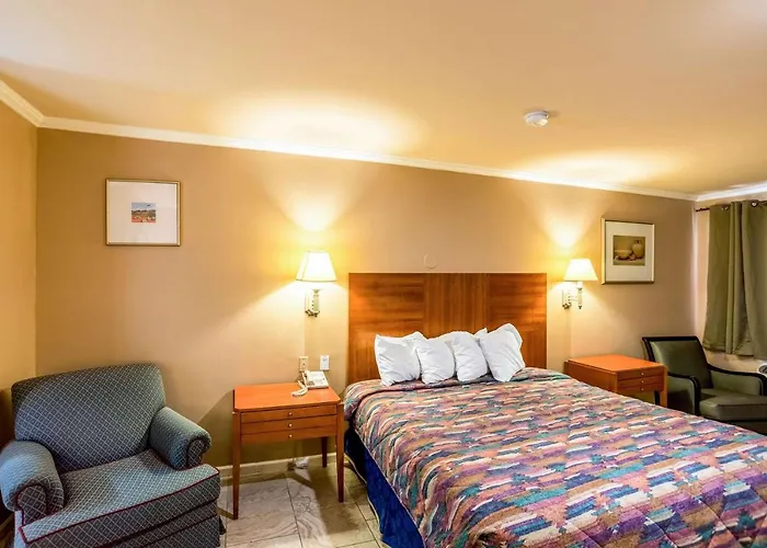 Hotel Wildcat Tucson
