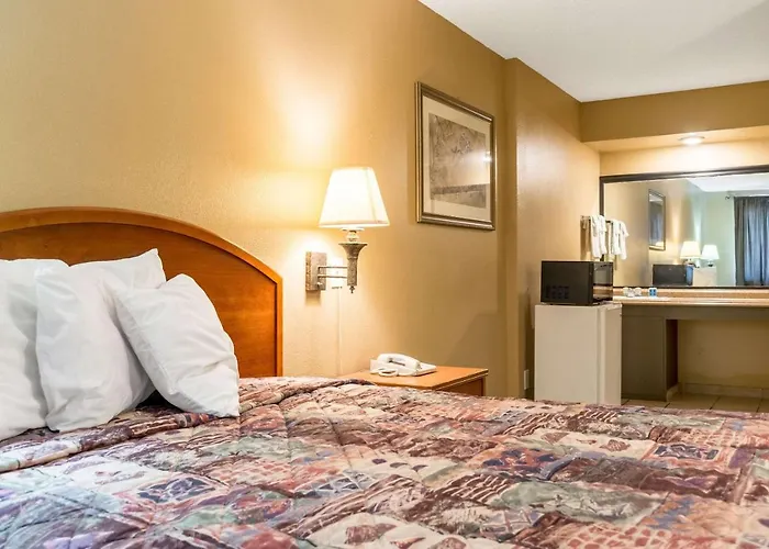 Wildcat Hotel 2*